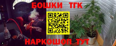 амф Дубна