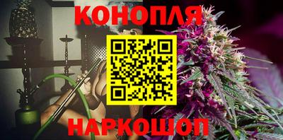 амф Дубна