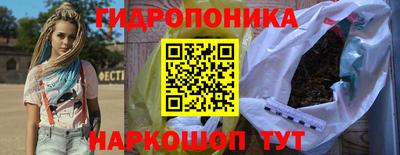 амф Дубна